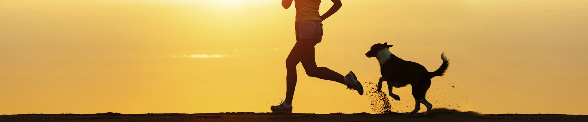 Pinturas Jose Antonio García.Deporte